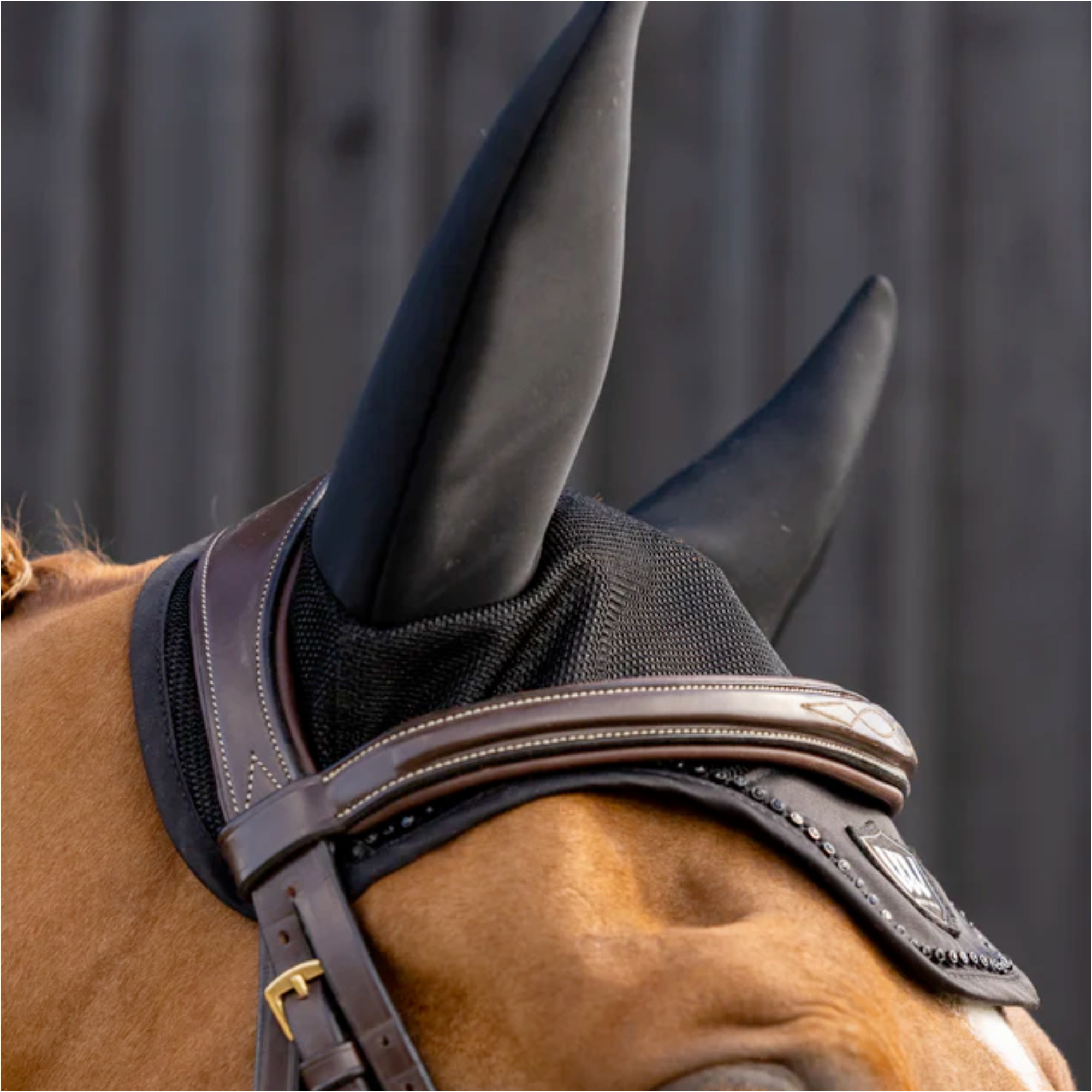 2026 Woof Wear Noise Cancelling Crystal Fly Veil WS0045-BKBK - Black